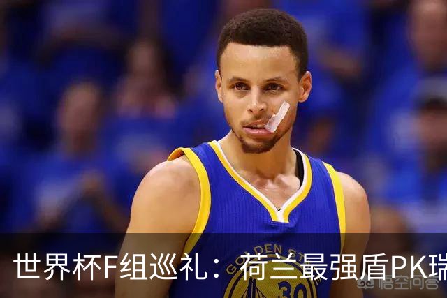 世界杯F组巡礼：荷兰最强盾PK瑞典犀利刀 日本短板明显
